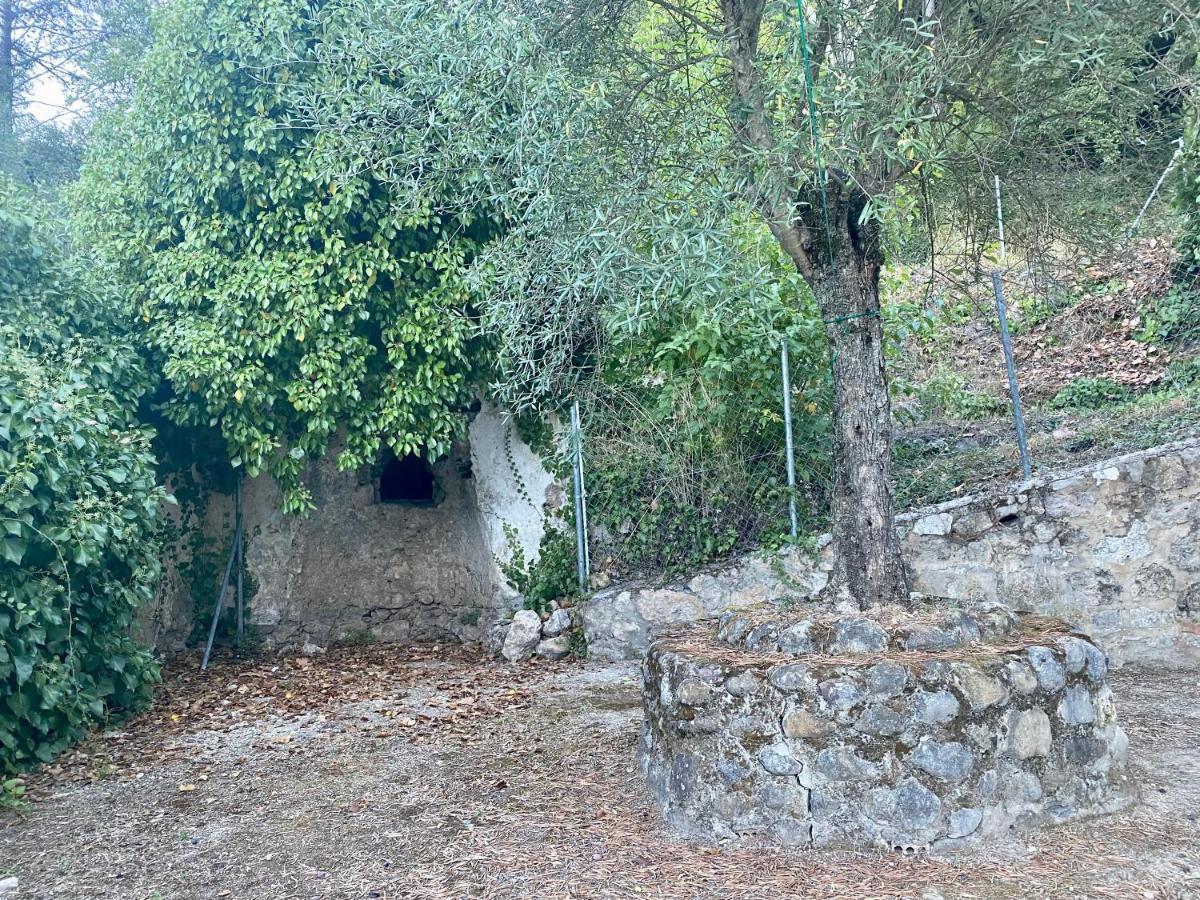 Stay Wild En Las Casitas De Huerta Arriba ベナマオマ エクステリア 写真